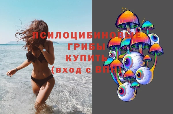 jwh Богородицк