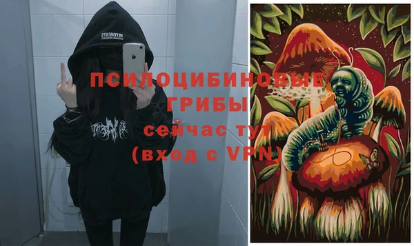jwh Богородицк