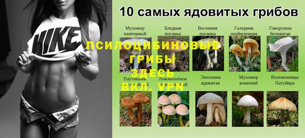 меф VHQ Богданович