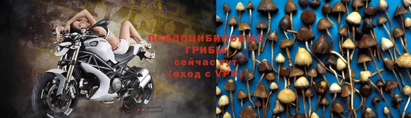 jwh Богородицк