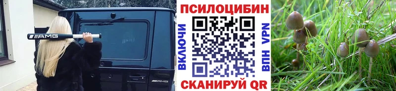 Купить где  Артёмовский  Галлюциногенные грибы Cubensis 